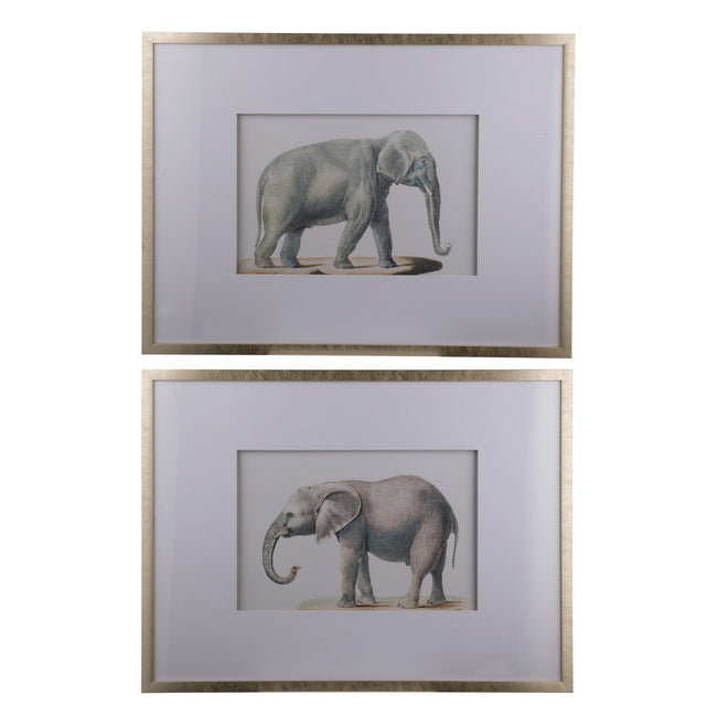 Set of 2 Elephant Framed Prints. Adult Elephant Framed Prints